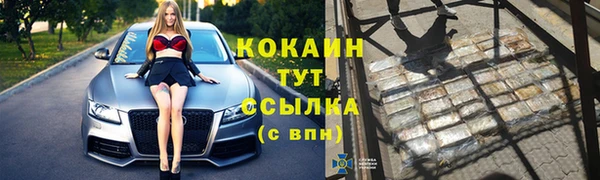 гидра Белокуриха